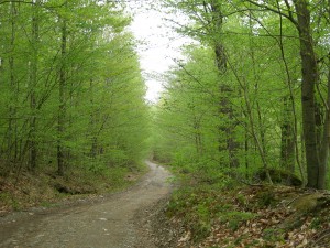 spring hike