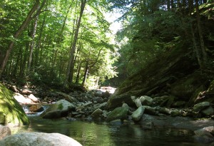 late summer brook