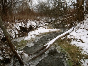 December brook