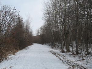Rail Trail, Feb