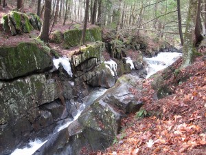 PrestonBk.gorge.early spring