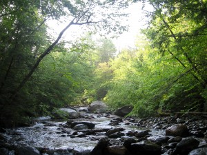 NewHavenHeadwaters