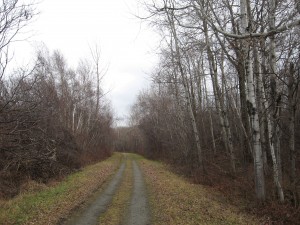 December Rail Trail