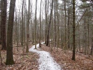 March trail