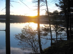 Sunrise Stratton Pond