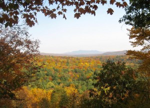 fall-color-lookout