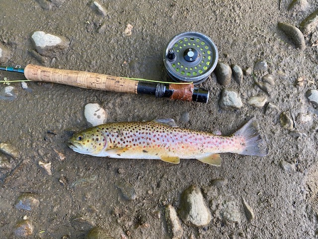 World's SMALLEST Fly Rod?? Will it FISH?? Tiny Creek Fly Rod! 