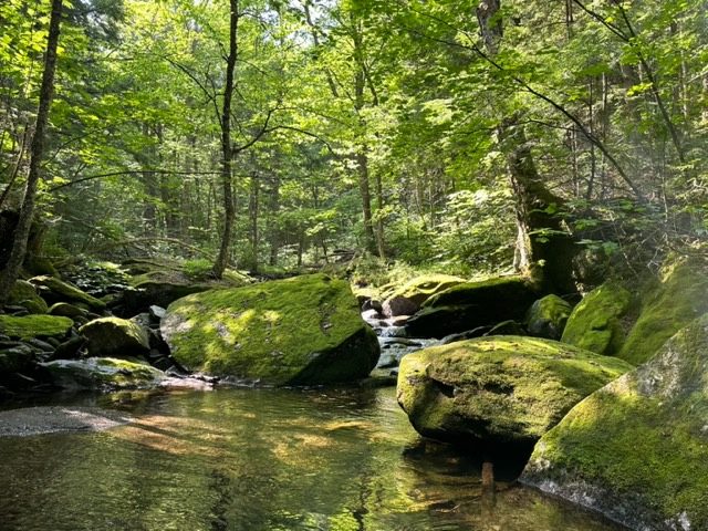 Water Street Welcomes Walking-Loop Wanderers in Catskill, NY